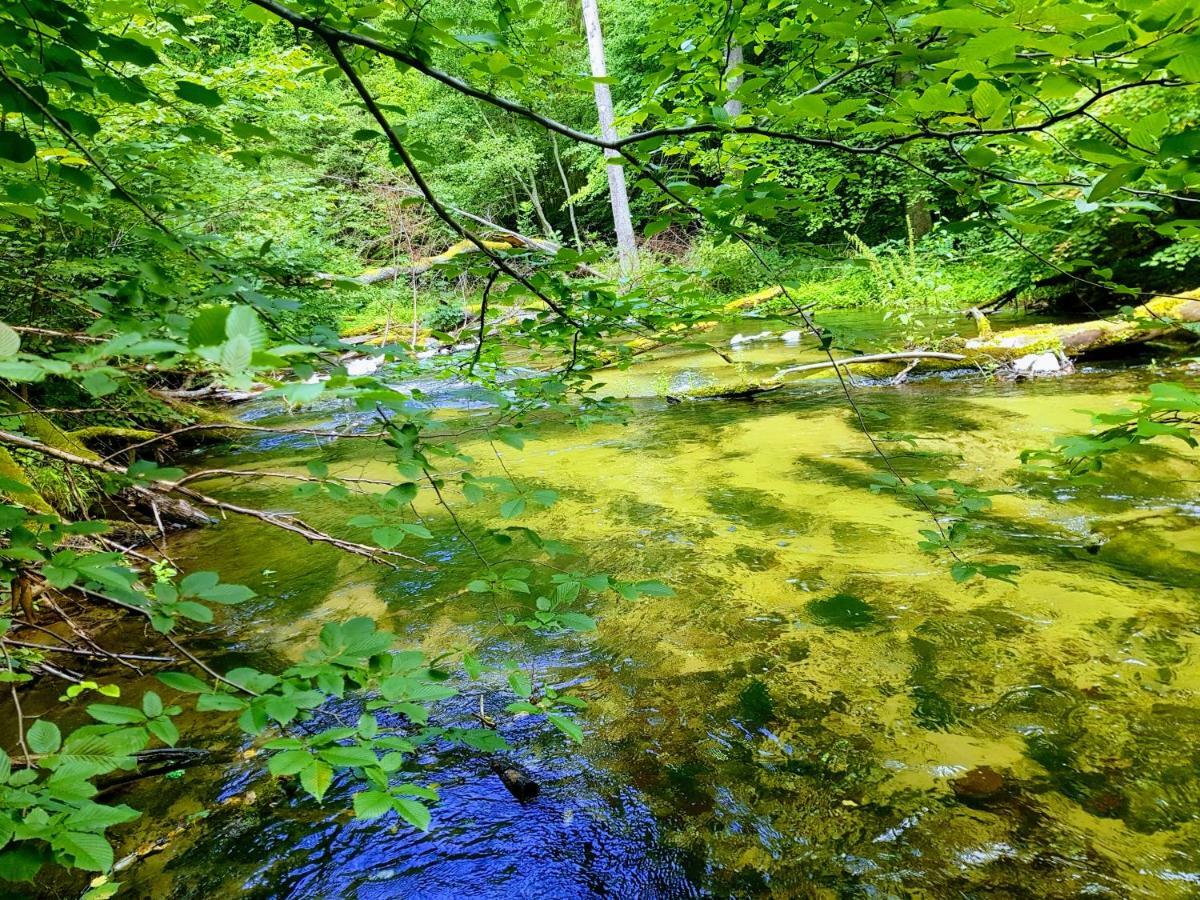 Jaskolka - Pokoje I Apartament Przy Plazy Olsztyn  Dış mekan fotoğraf